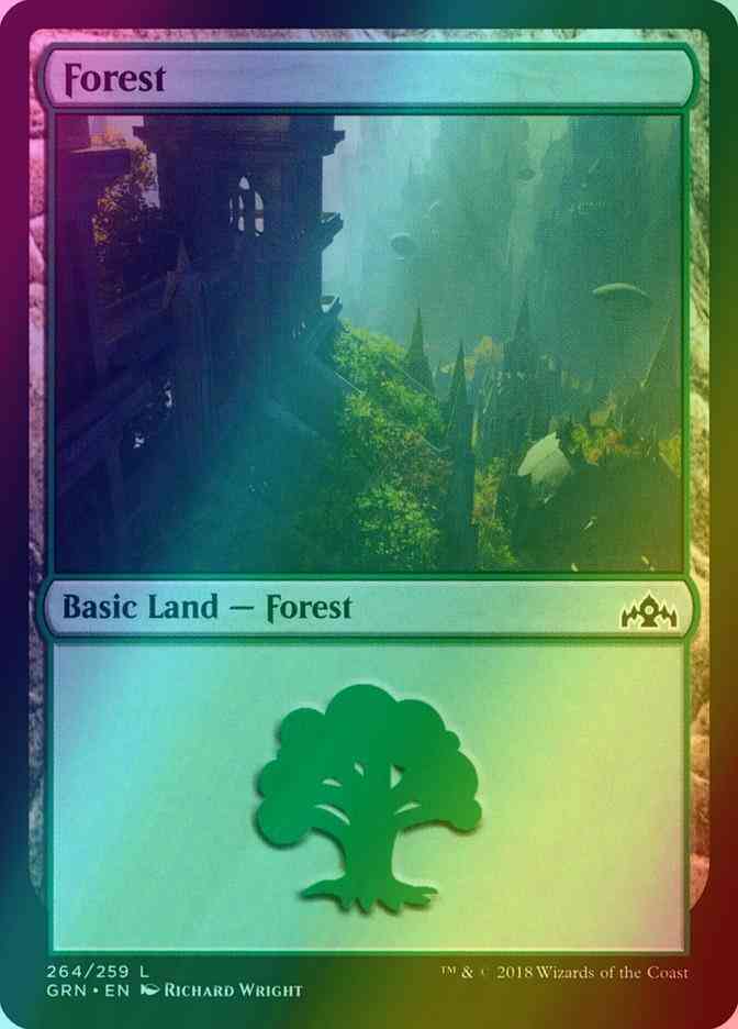Forest [264] [Guilds of Ravnica] [Foil]