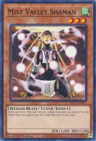 Mist Valley Shaman - HAC1-EN057 - Duel Terminal Normal Parallel Rare - 1st Edition