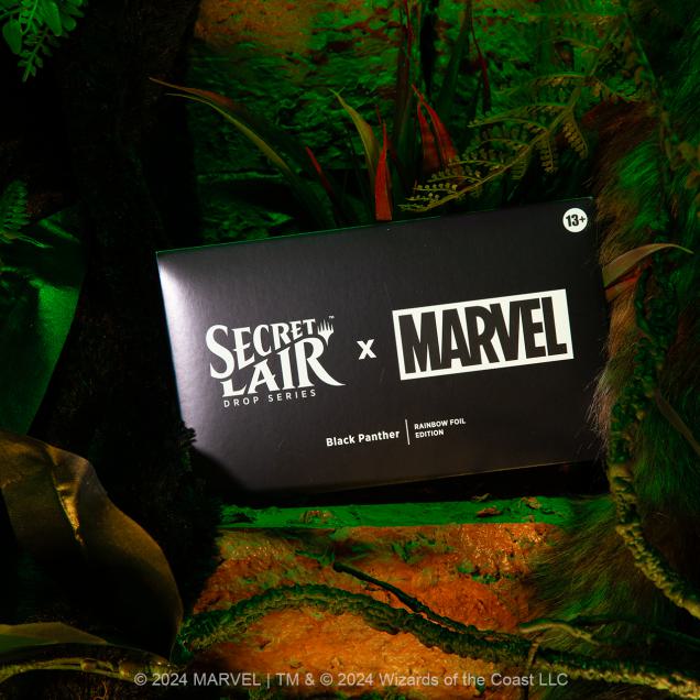 SEA-SLD-MTG-BLACK_PANTHER-F