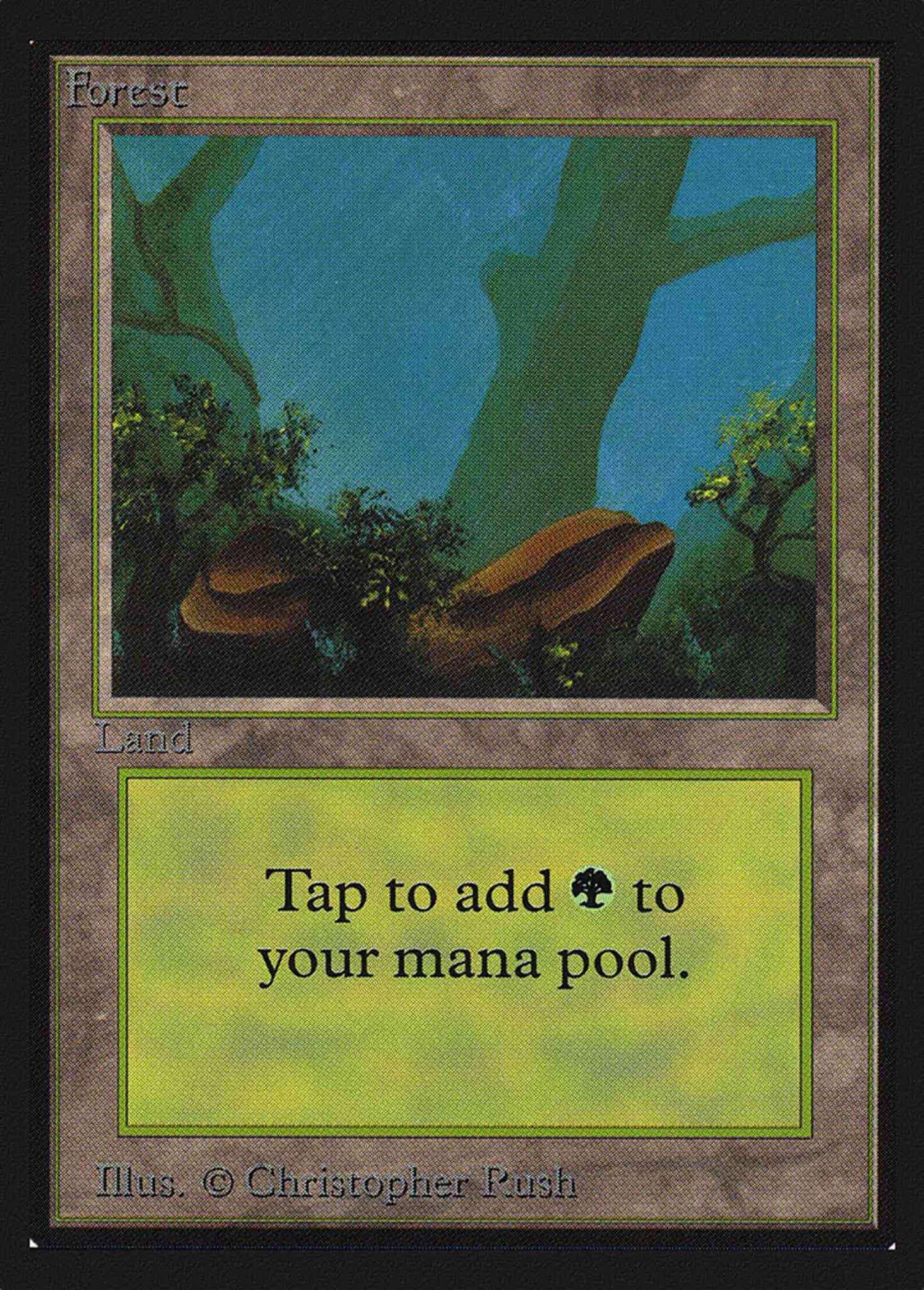Forest [Rocks] [300] [Intl Collectors Edition] [Non-Foil]