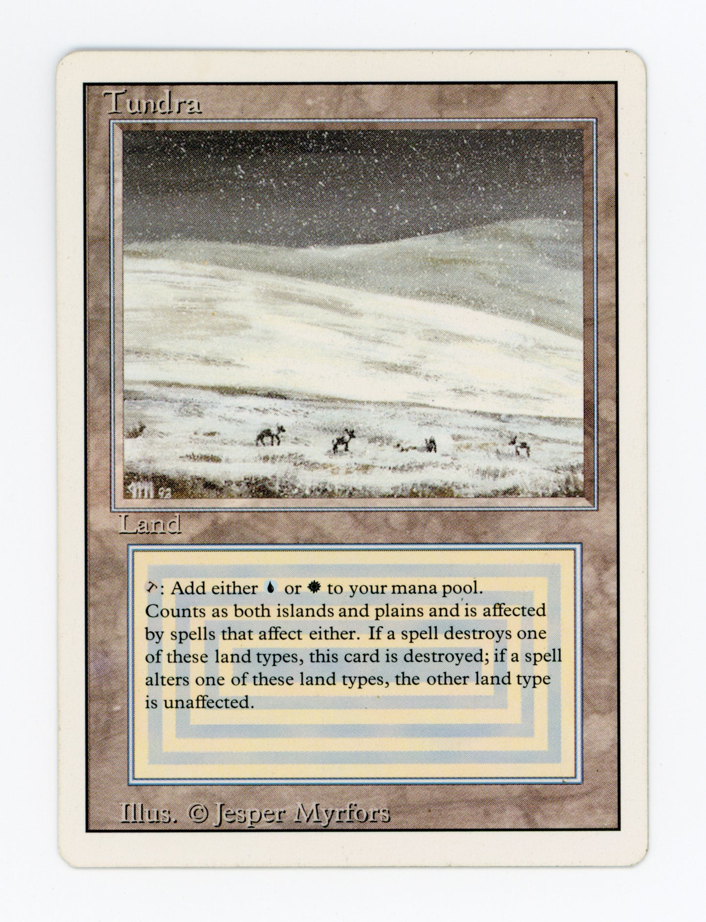 Tundra — ID 18478