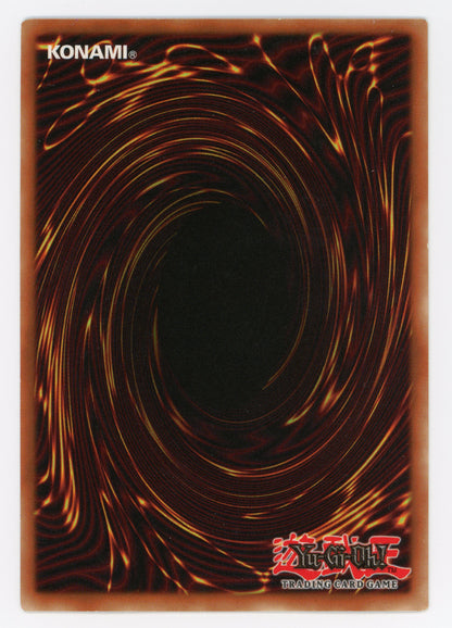 SIN-SCAN-13978
