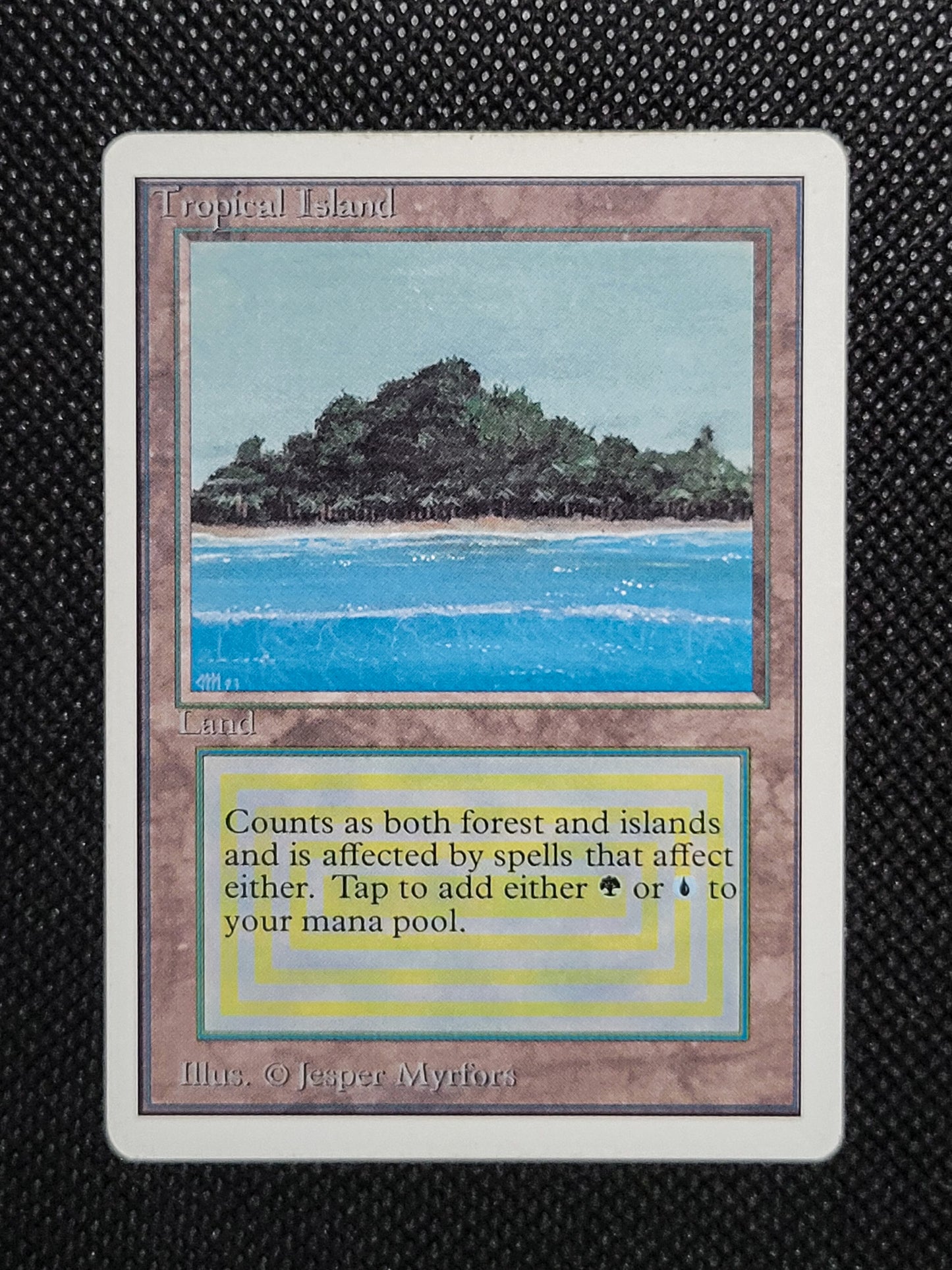 Tropical Island — ID 16969
