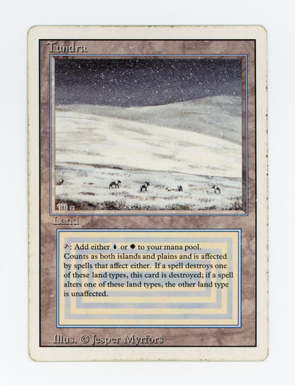 Tundra — ID 17096