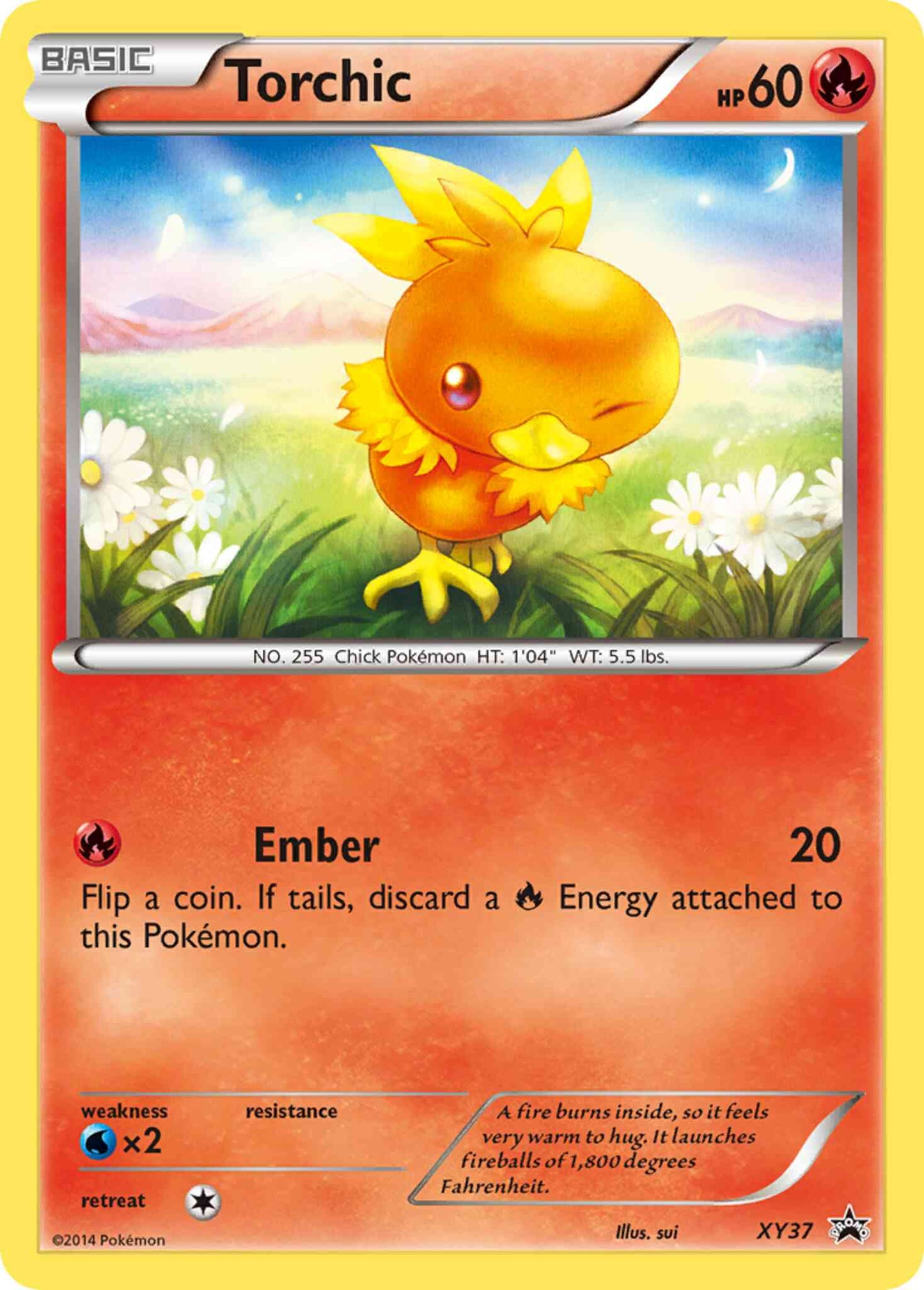 Torchic - XY37 - Promo [xyp-XY37] [Holo]