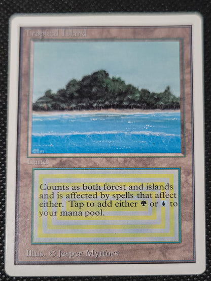 Tropical Island — Damaged — ID 16972