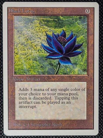 SIN-SCAN-16555_g