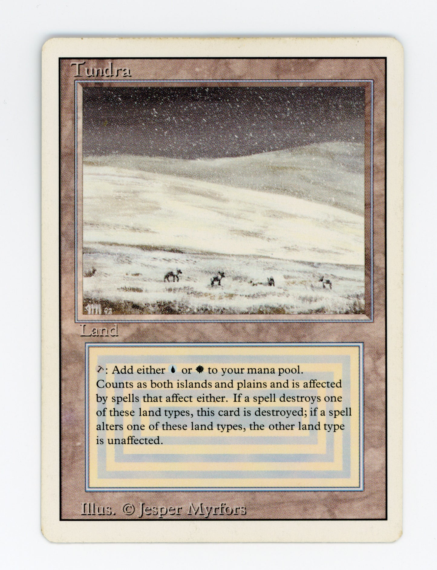 Tundra — ID 17628