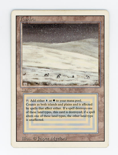 Tundra — ID 17628