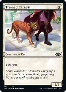 Trained Caracal [256] [Jumpstart 2022] [Non-Foil]