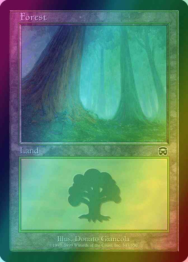 Forest [347] [Mercadian Masques] [Foil]