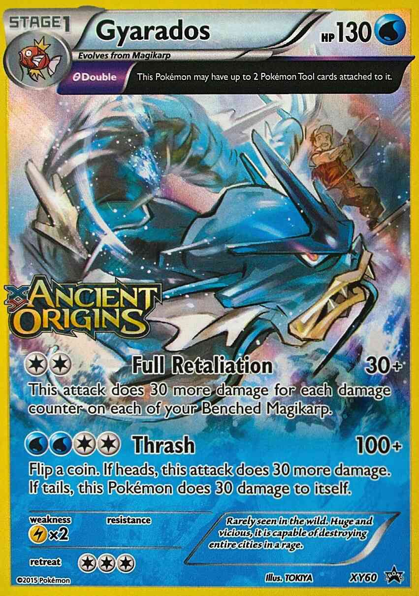 Gyarados - XY60 - Promo [xyp-XY60] [Holo]