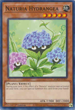Naturia Hydrangea - HAC1-EN107 - Common - 1st Edition