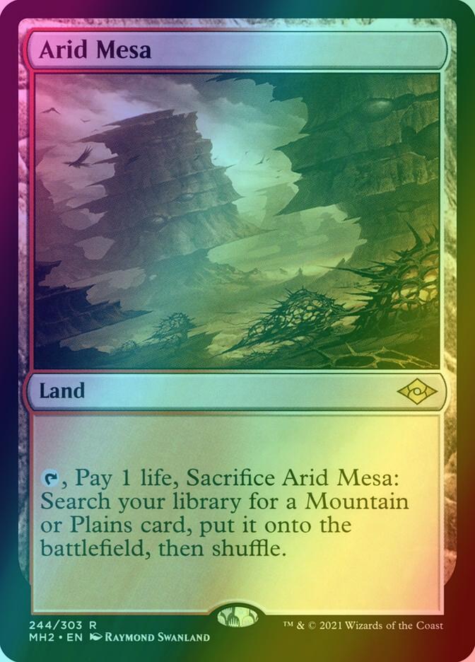 Arid Mesa [244] [Modern Horizons 2] [Foil]