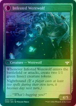 Infestation Expert // Infested Werewolf [206] [Innistrad: Crimson Vow] [Foil]