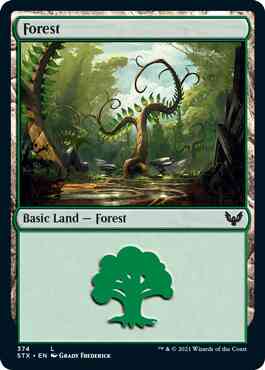 Forest [374] [Strixhaven: School of Mages] [Non-Foil]