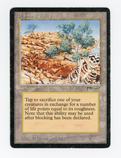 SIN-SCAN-16512