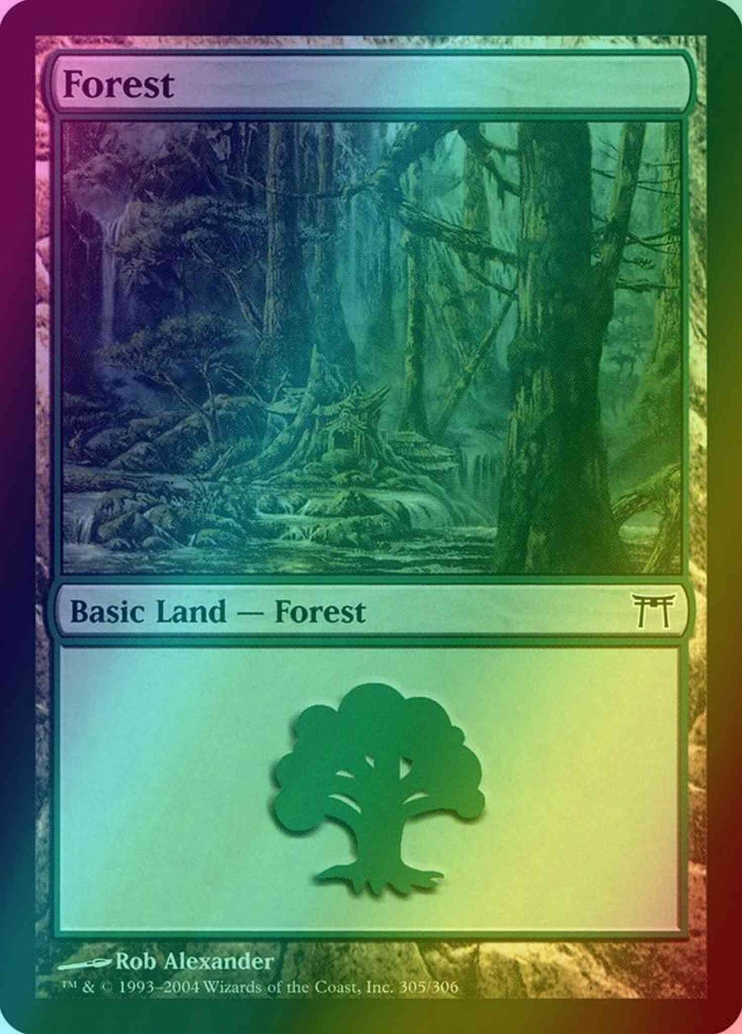 Forest [305] [Champions of Kamigawa] [Foil]