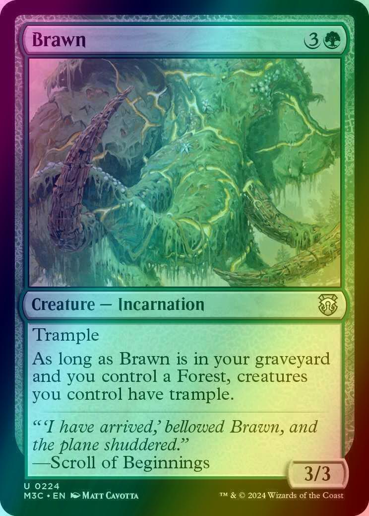 Brawn [224] [Modern Horizons 3: Commander] [Ripple Foil]