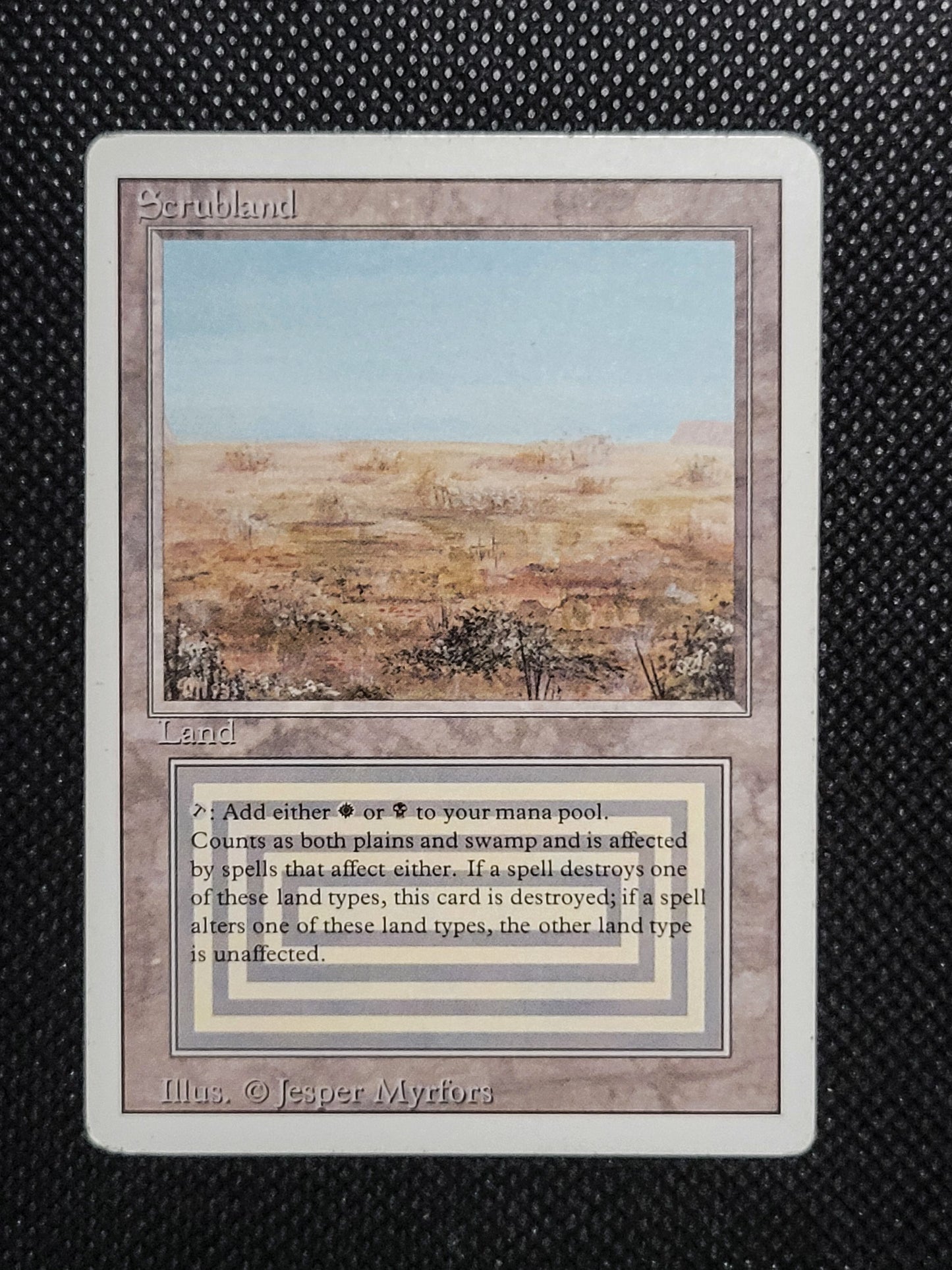 Scrubland — ID 17053