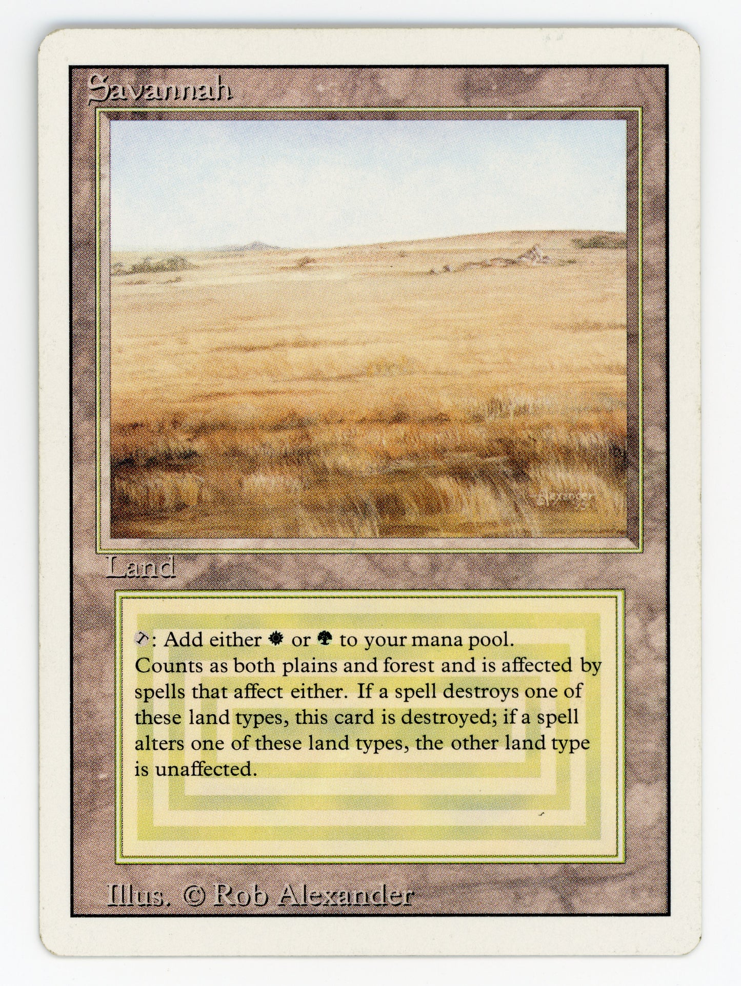 SIN-SCAN-16254