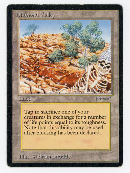 SIN-SCAN-16120