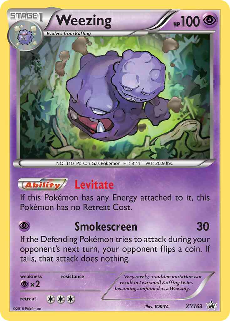 Weezing - XY163 - Promo [xyp-XY163] [Holo]