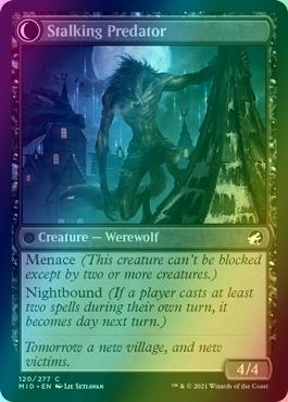 Shady Traveler // Stalking Predator [120] [Innistrad: Midnight Hunt] [Foil]