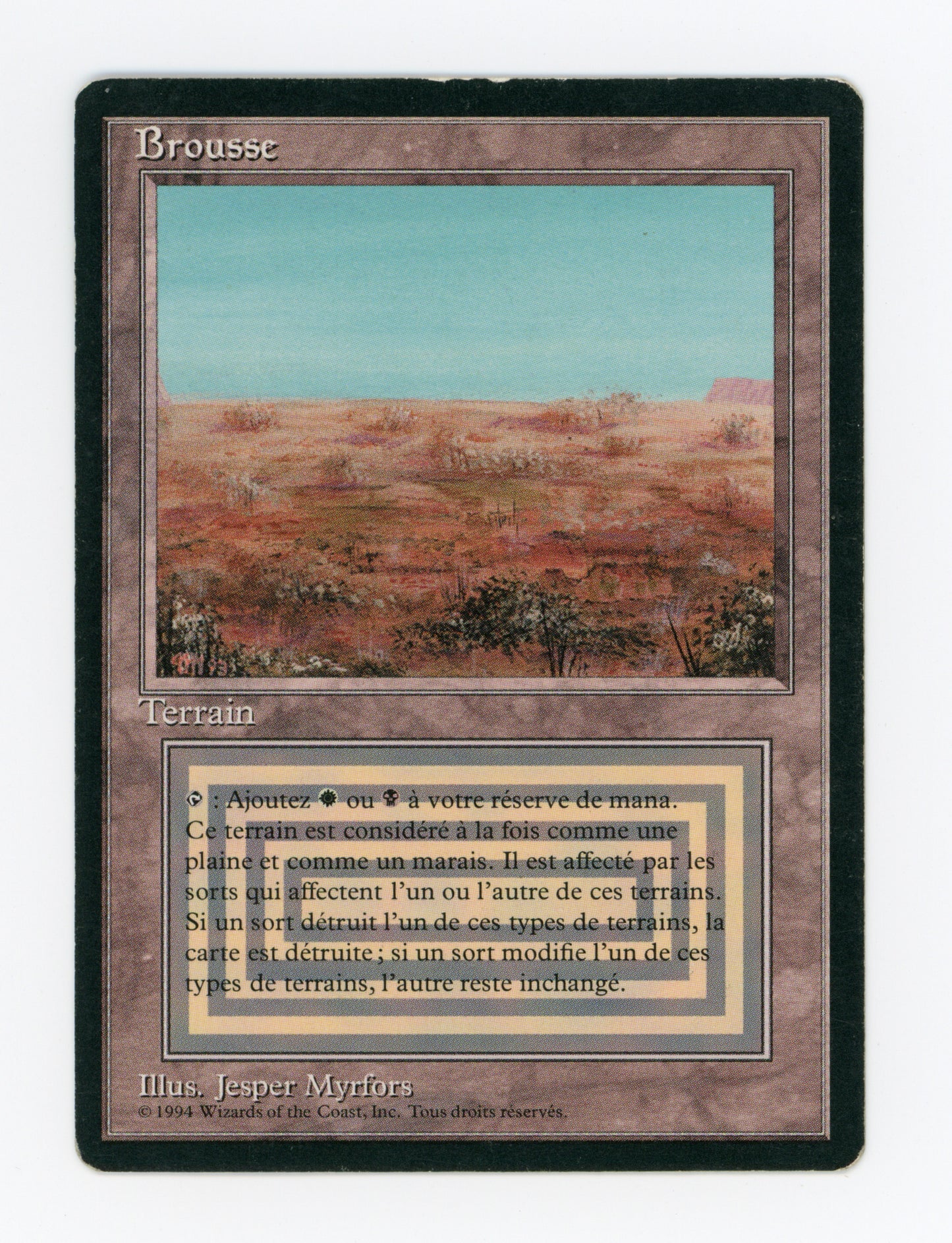 Scrubland — French — ID 18646