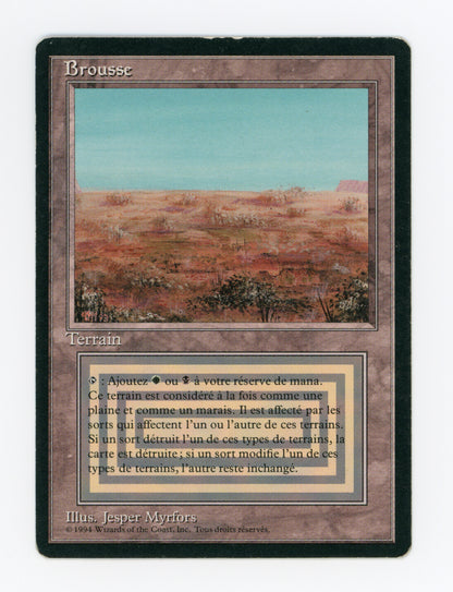 Scrubland — French — ID 18646