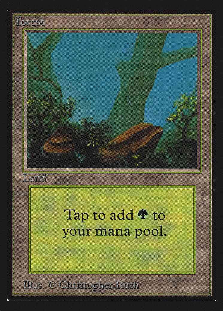 Forest [Rocks] [300] [Collectors Edition] [Non-Foil]