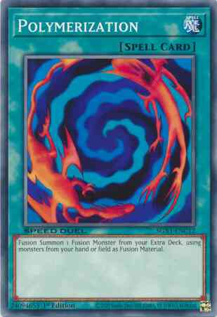 Polymerization - SGX1-ENC12 - Common - 1st Edition