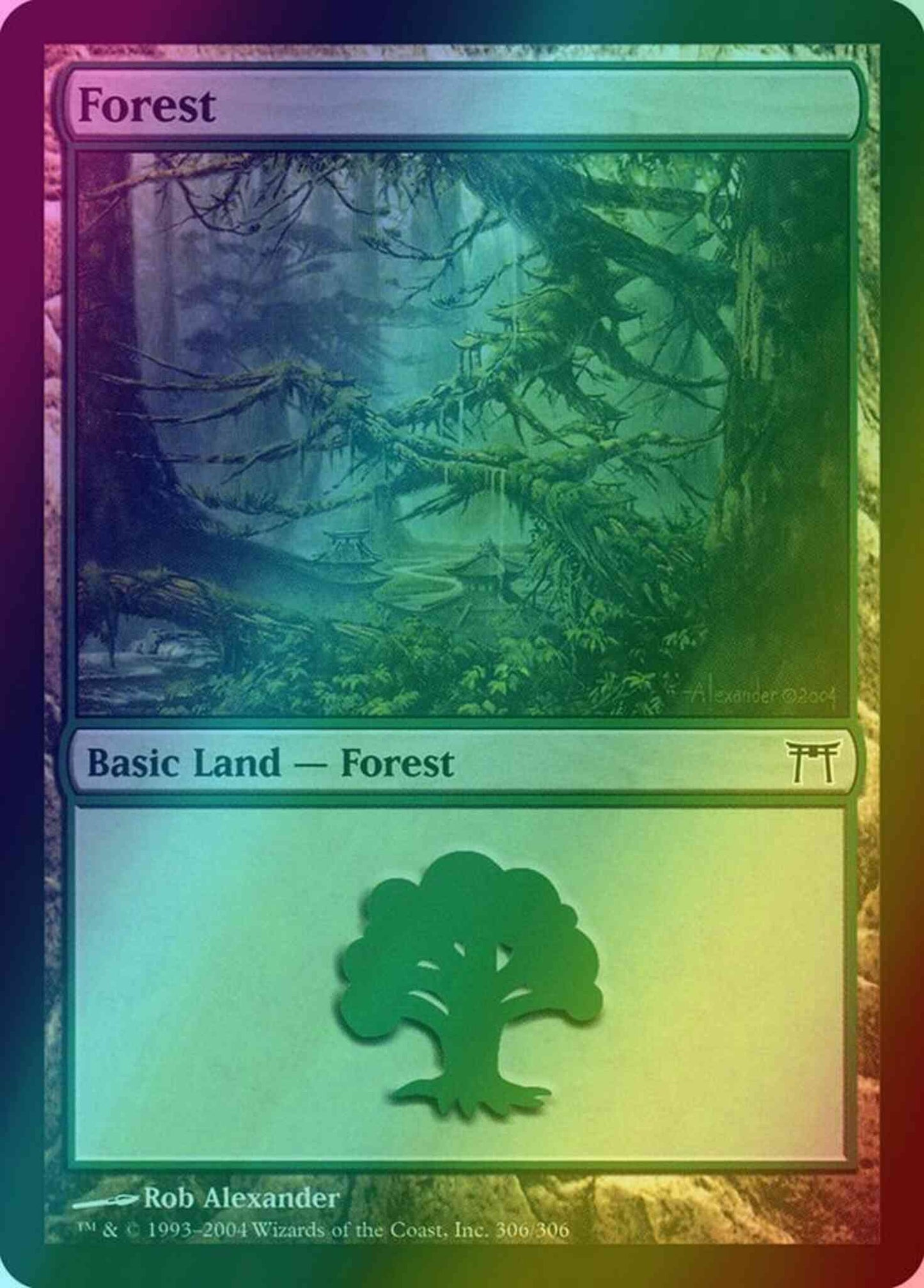 Forest [306] [Champions of Kamigawa] [Foil]